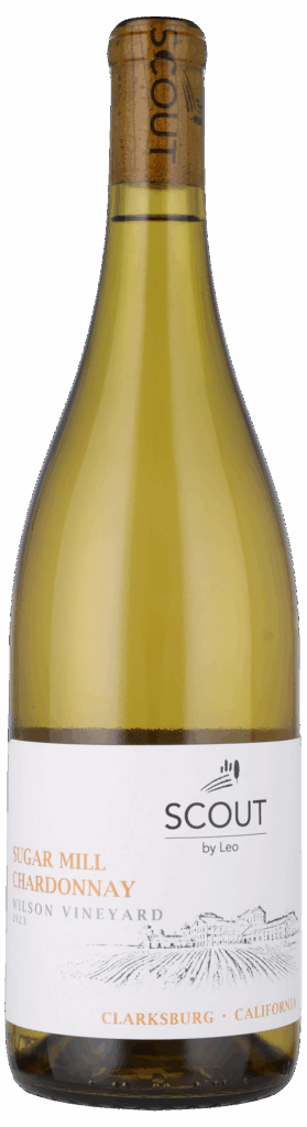 Chardonnay -Scout by Leo