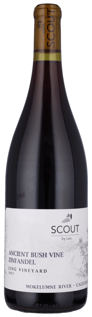 Zinfandel - Scout by Leo