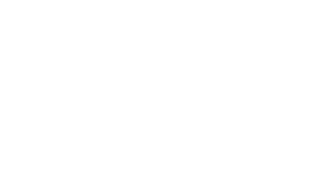 Logo_SCOUT_WHITE_Outlined